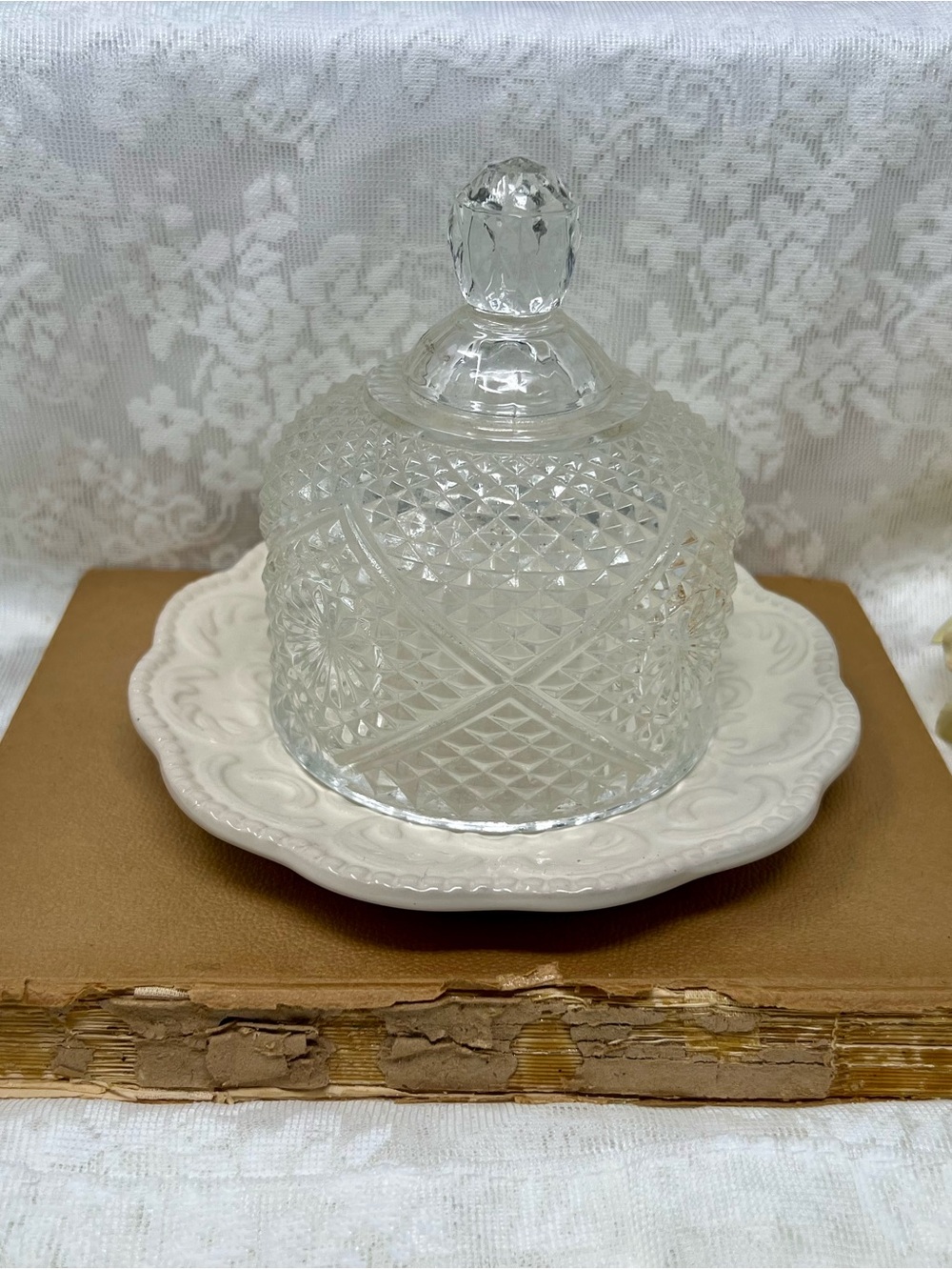 Crystal Cut Vintage Glass Dome with Decorative Porcelain Dessert Plate